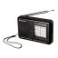 TRA-2989 rádio Roadstar