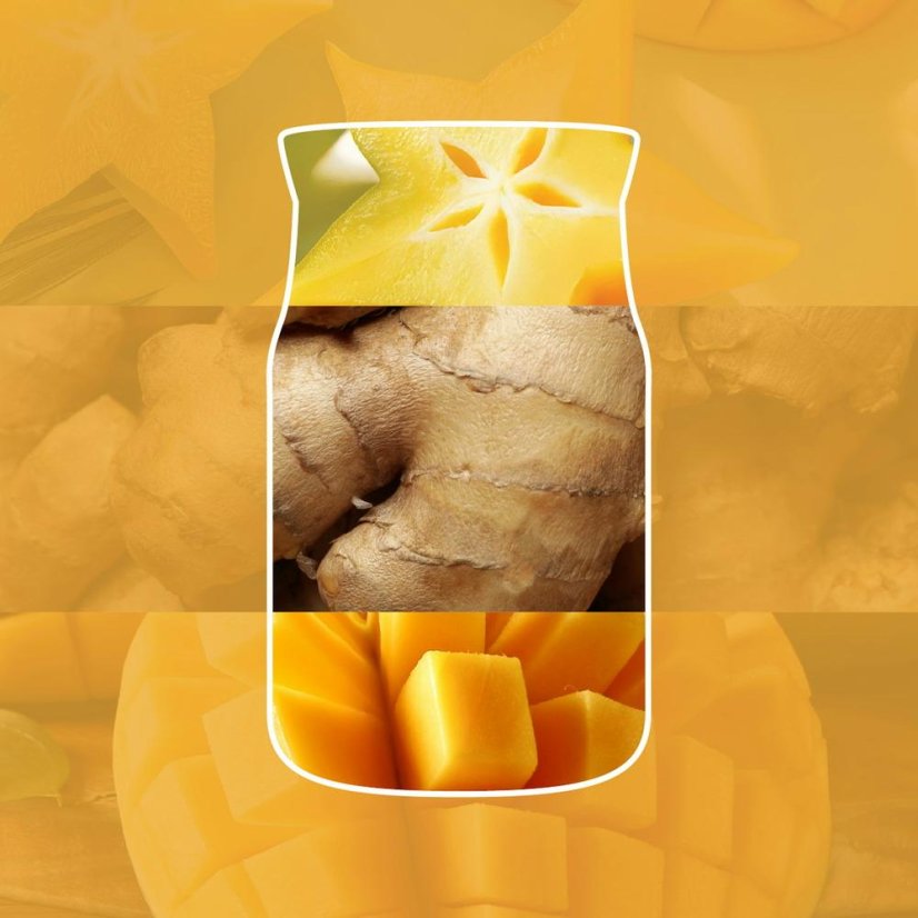 Yankee candle Signature Small Candle, Starfruit & Sunshine