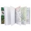 Dino World Flitter Eye Coloring Book
