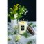 Vellutier nagy gyertya, Midnight Toast