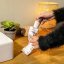 Cecotec Bamba FaceCare TotalClean 3371 kozmetikai arckefe