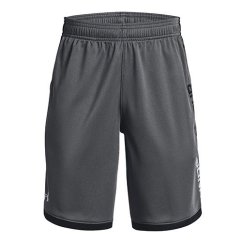 UA Stunt 3.0 Shorts-GRY