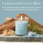 WoodWick Medium Candle, Cedarwood & Ocean Moss