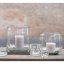 Glasblumentopf DutZ Pot Clear