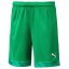 Puma CUP Kids Fußballshorts für Kinder - Farbe: Grün, Größe: 140