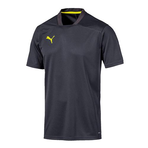 Men's Puma ftblNXT Training Tee Men's Puma ftblNXT Training Tee