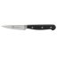 Messerset Lion Sabatier International Pluton 021485
