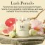 WoodWick Medium Candle, Lush Pomelo
