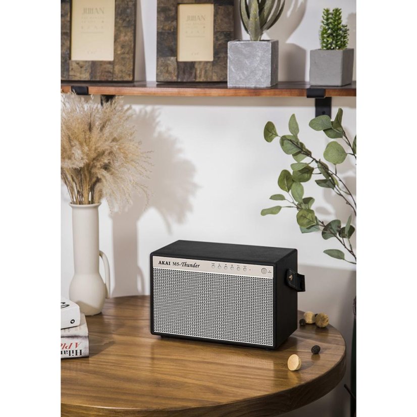 Lautsprecher AKAI M5-THUNDER braun