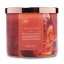 Colonial Candle Travel Collection gyertya, Canyon Spice