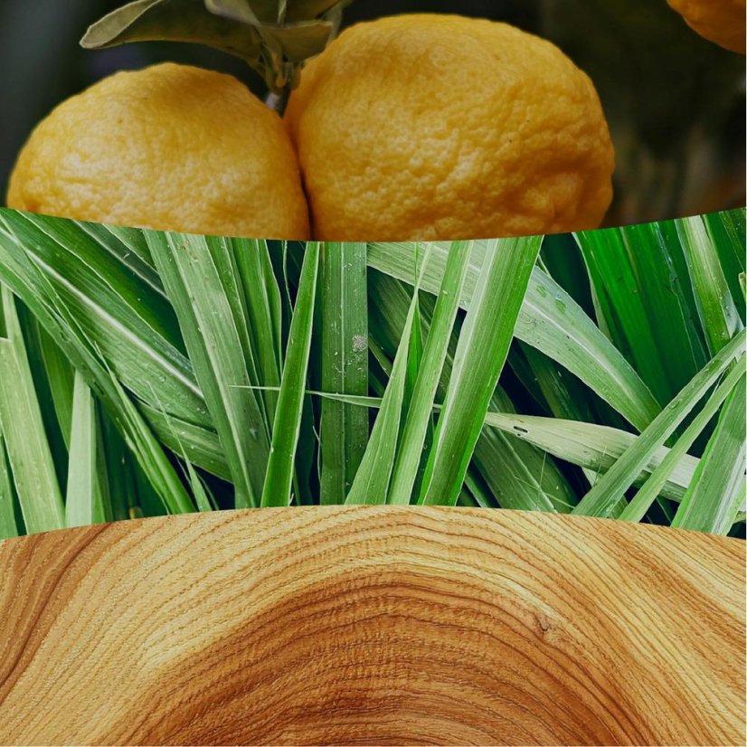 WoodWick Small Candle, Yuzu & Vetiver