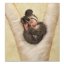 Kniha Anne Geddes Mých Prvních Pět Let, Three Acorns