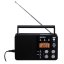 AKAI APR-200 Radio, Black