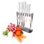 Knife block + 5 Lion Sabatier International knives 669582 FUJI silver