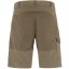 Abisko Shorts M