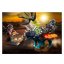 Triceratops spor o legendární kameny Playmobil 70627