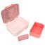 Miss Melody Blossom Pony Lunch Box with Compartments