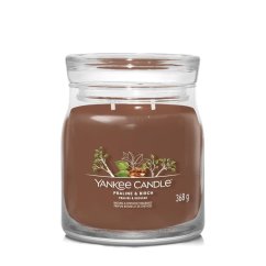 Yankee candle Signature Kerze mittelgroß, Praline & Birch