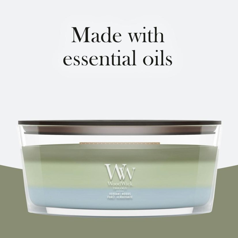 WoodWick Trilogy-Kerze im Schiffsglas, Verdant Woods