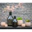 Glasblumentopf DutZ Pot Salmon