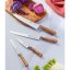 Yatagan knife Lion Sabatier Ideal Provencao 832285