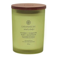 Chesapeake Bay Candle medium, Awaken & Invigorate