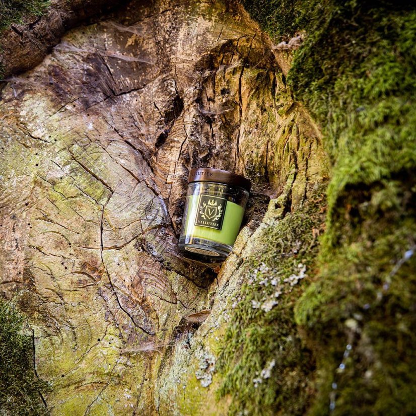 Kerze Vellutier klein, Ancient Oakwoods