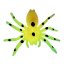 Dino World glow-in-the-dark spider set