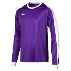 Puma LIGA GK Jersey Jr children's goalkeeper jersey