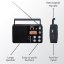 AKAI APR-200 Radio, Black