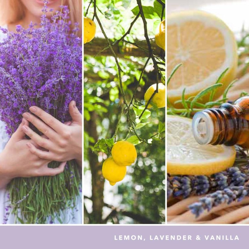 Yankee candle Signature Kerze groß, Lemon Lavender