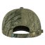 Lappland Camo Cap