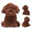 Cody Top Model Fur Ever Friends Plush Dog