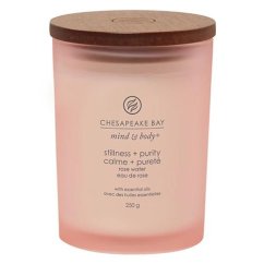 Chesapeake Bay Candle medium, Stillness & Purity