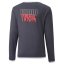 Koszulka dziecięca Puma Neymar Jr Graphic Tee - Kolor: Szary, Rozmiar: 164