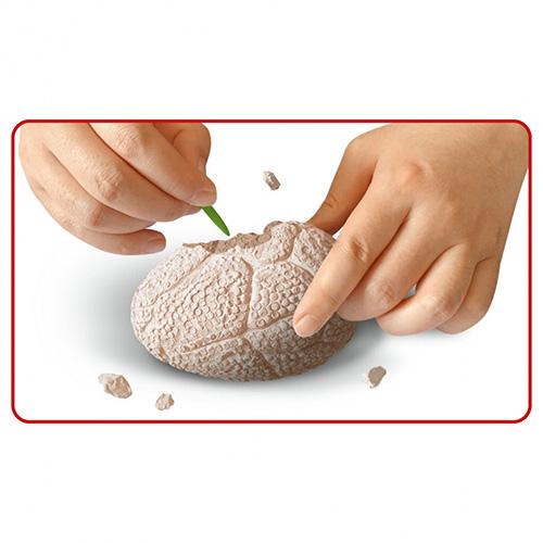 Egg with dinosaur Dino World Explorer Set blue