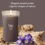 WoodWick Large Candle, Iris Woods