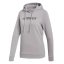 Dámská mikina Adidas Terrex Graphic Logo - Farbe: Grau, Größe: XL