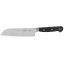 Messerset Lion Sabatier International Pluton 021485