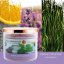 Five Elements Patchouli Ice scented candle, 420 g, 3 wicks