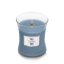 WoodWick Medium Candle, Tempest