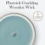WoodWick Medium Candle, Cedarwood & Ocean Moss