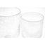 DutZ Flowervase 2 Clear Bubbles glass vase