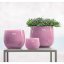 Glasblumentopf DutZ Pot Fuchsia