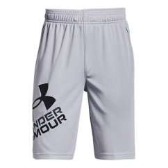 UA Prototype 2.0 Logo Shorts-GRY