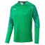 Torwarttrikot Puma CUP GK Jersey LS - Farbe: Grün, Größe: XL