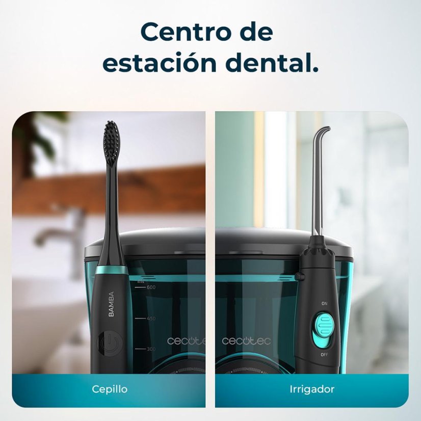 Zahnirrigator Cecotec Bamba ToothCare 4437 schwarz
