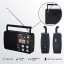 AKAI APR-200 Radio, Black