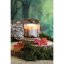 Świeca Woodbridge Signature, Silent Woods