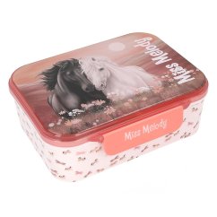 Snackbox mit Fächern „Miss Melody Blossom Pony“